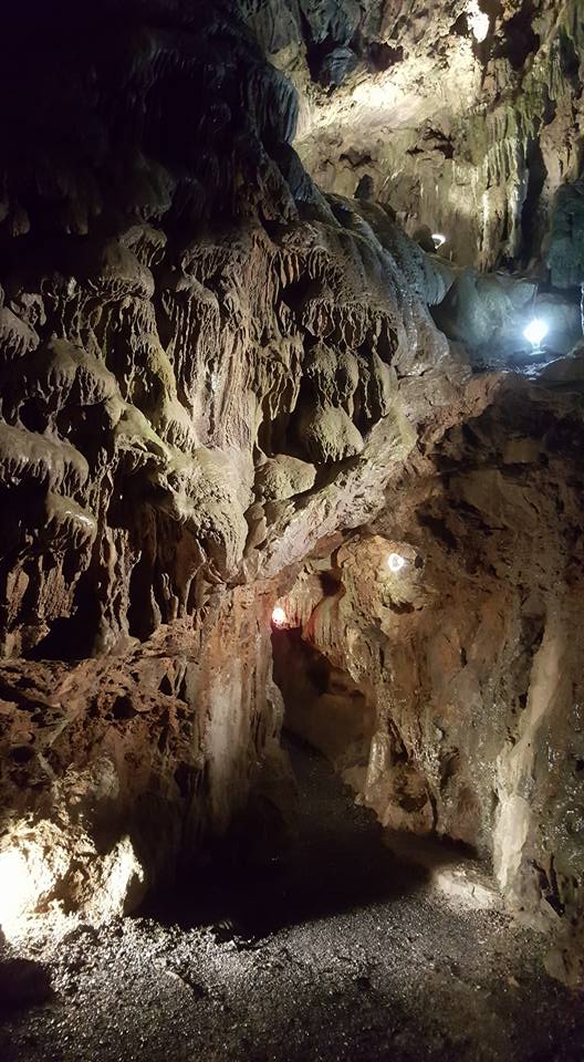 17523436_10113512216092524_682847378545599600_n