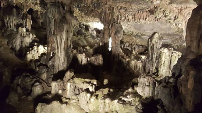 17795778_10113512216481744_2383501641398310610_n