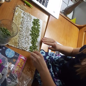 india flag craft beans mural