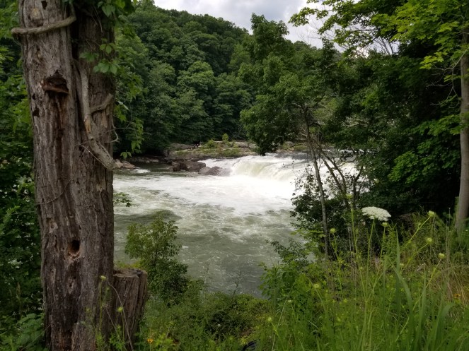 ohiopyle state park things to do see